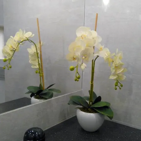 Appartement Apartament, 2 Sypialnie Ks. Bilitewskiego *